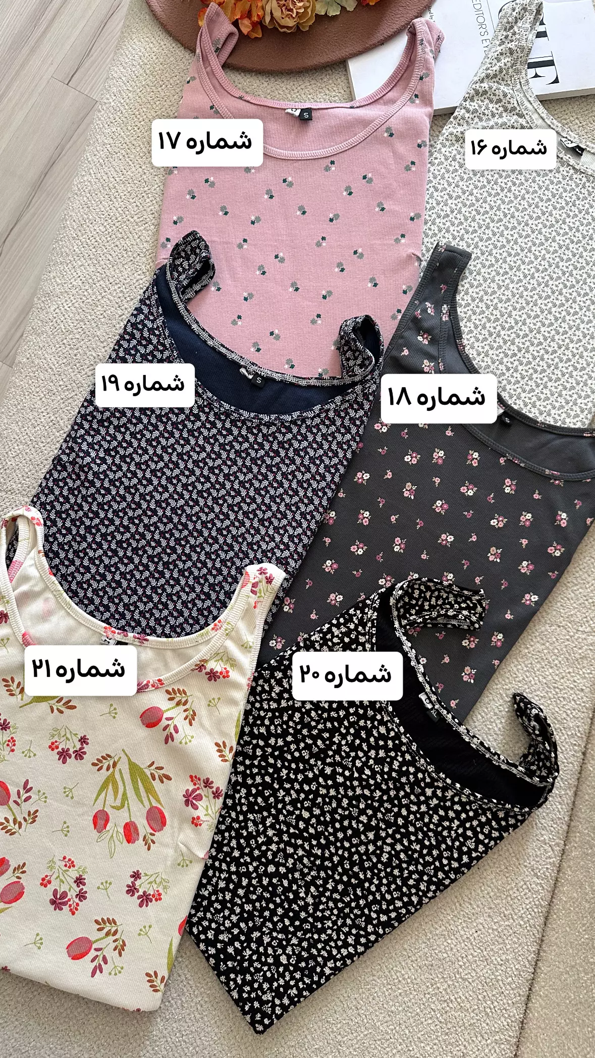 ساحلی کوتاه کبرتی 1578