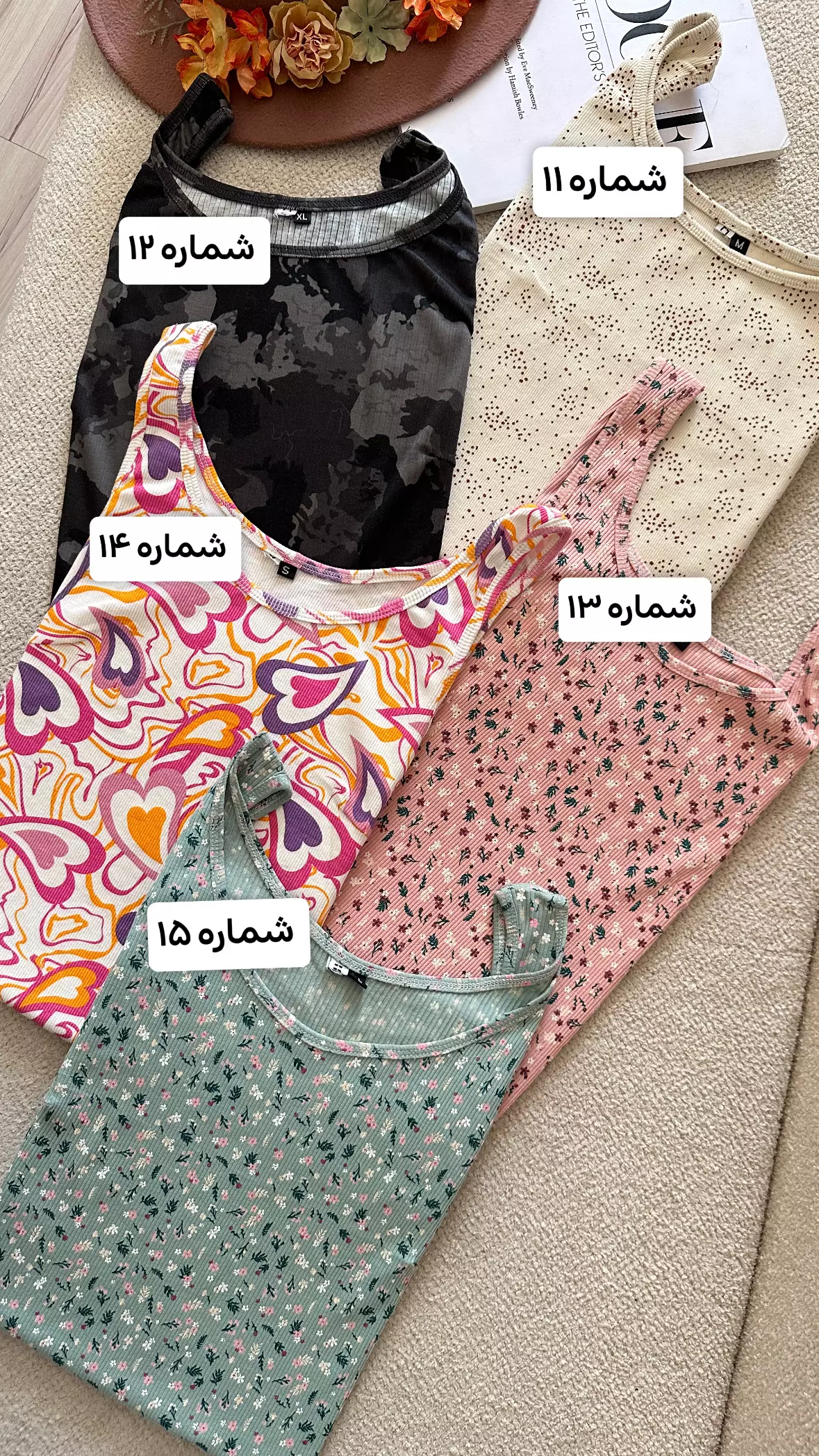 ساحلی کوتاه کبرتی 1578