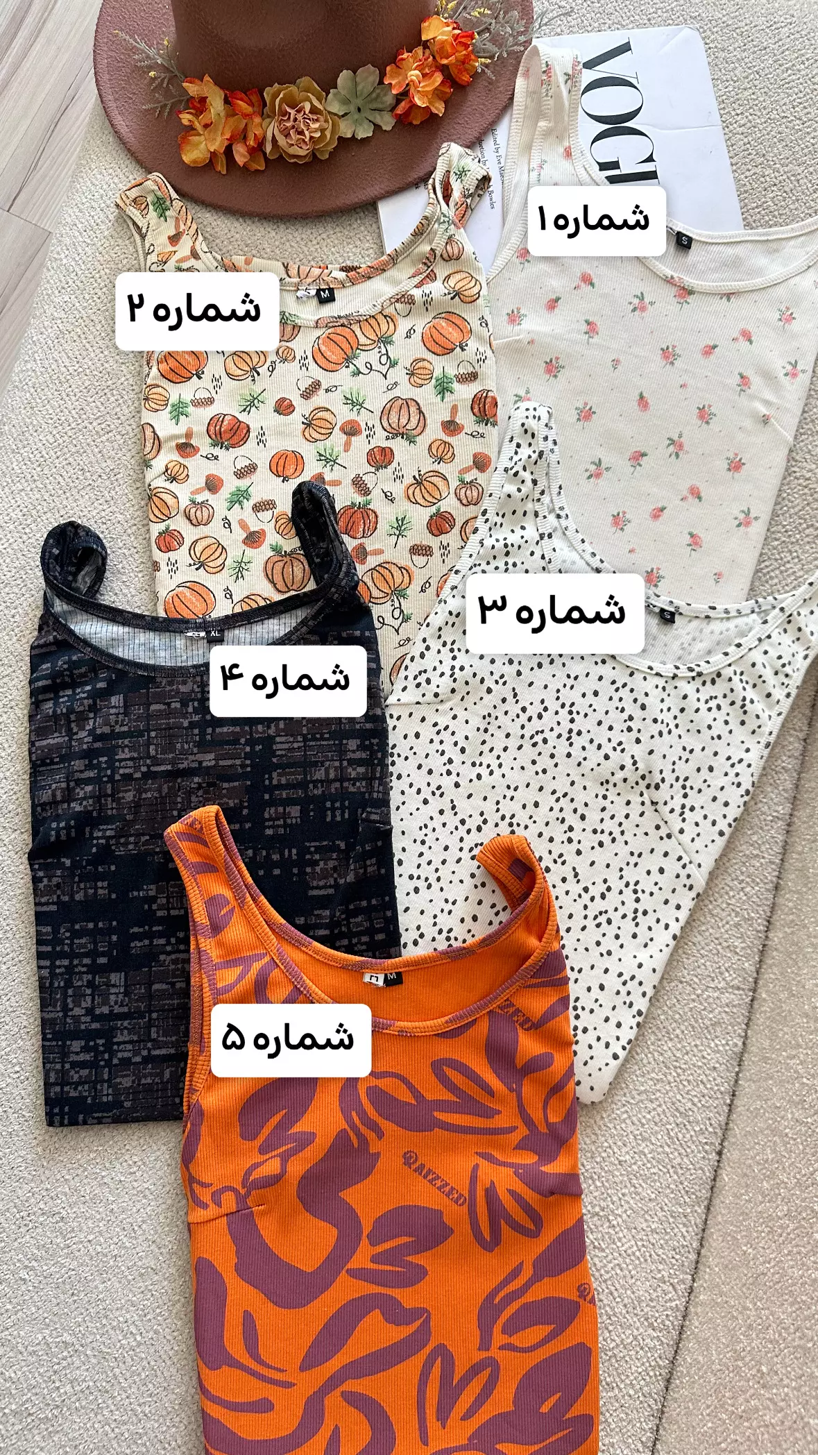 ساحلی کوتاه کبرتی 1578