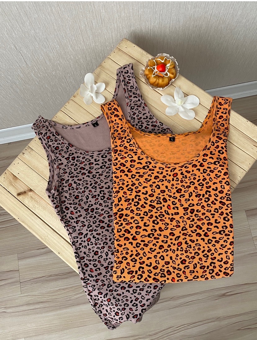 ساحلی کبریتی بلند279